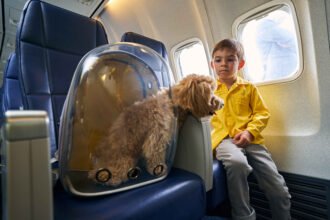 how to fly with a dog: Young boy in yellow shirt sitting calmly by the airplane window next to his fluffy poodle dog in a clear pet carrier during flight, peaceful family pet travel moment
