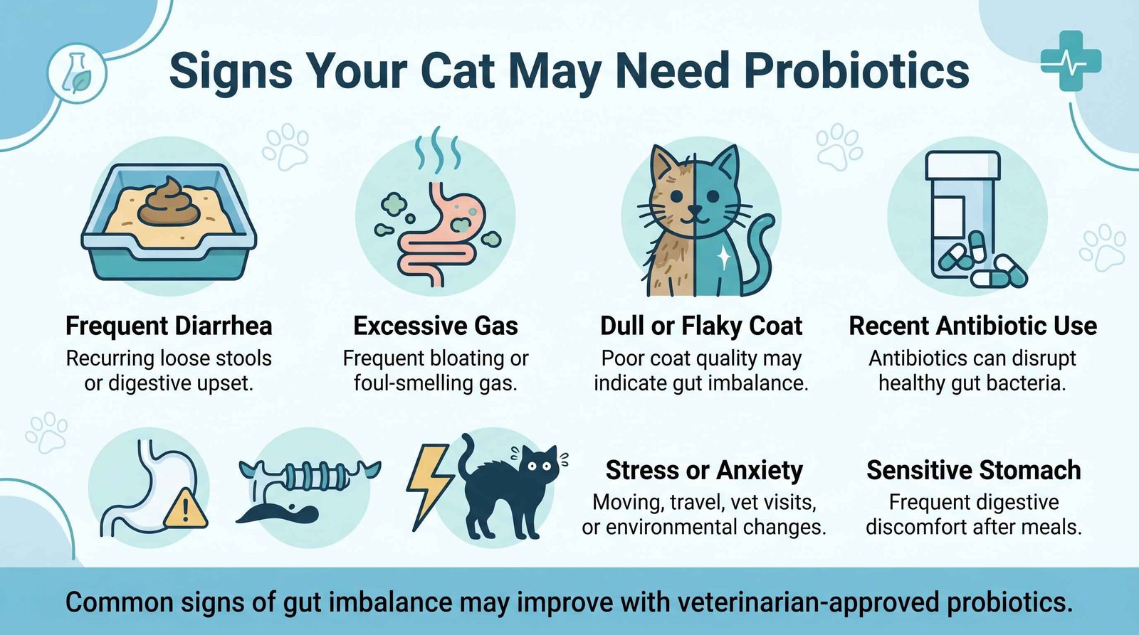 Probiotics for Cats: Benefits, Dosage, and Best Strains for Gut Health 3 Signs Your Cat May Need Probiotics infographic showing diarrhea, excessive gas, dull coat, antibiotic use, stress, and sensitive stomach in cats