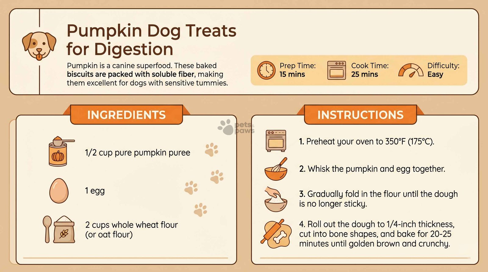 pumpkin dog treats for digestion recipe with simple ingredients homemade baked dog biscuits for sensitive stomachs