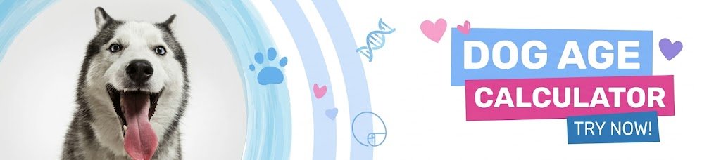 dog-age-caculator-banner