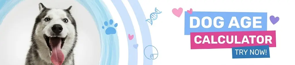 dog-age-caculator-banner