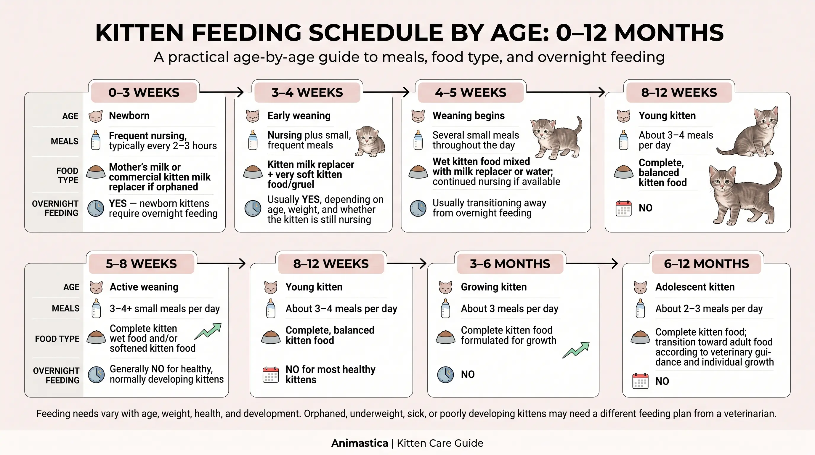 Kitten Feeding Schedule: How Often and How Much to Feed a Kitten 2 Kitten feeding schedule by age showing meals, food types, and overnight feeding from newborn to 12 months